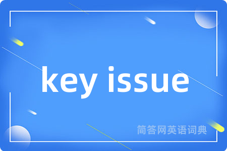 key issue是什么意思,key issue的中文翻译 key issue