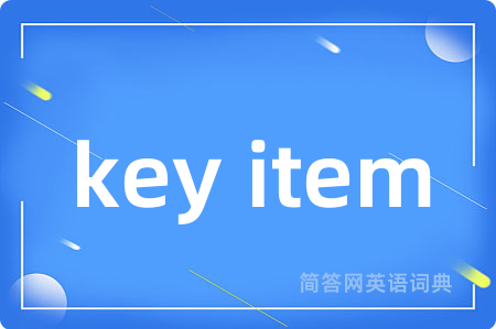 key item是什么意思,key item的中文翻译 key item