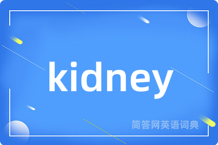 kidney