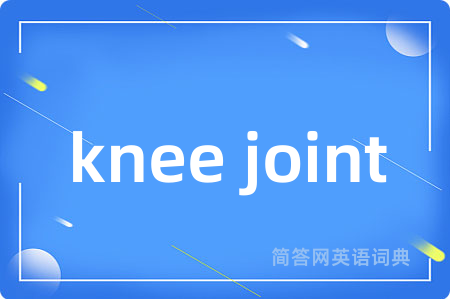 knee joint