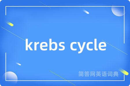 krebs cycle