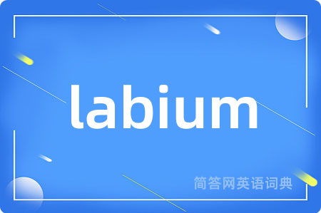 labium