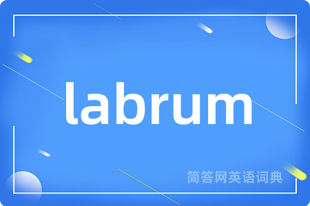 labrum