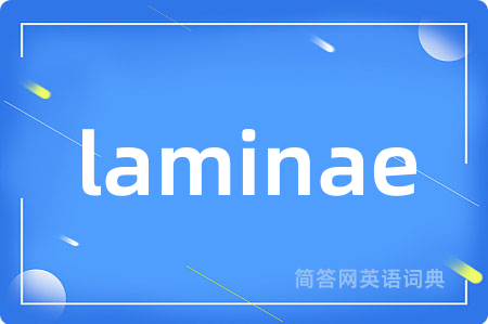 laminae