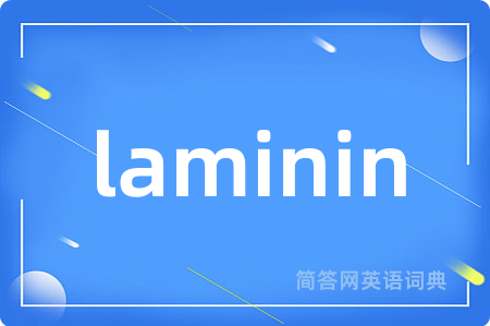 laminin