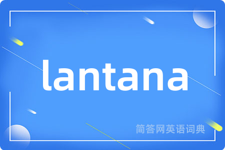 lantana