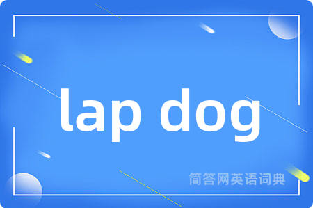 lap dog