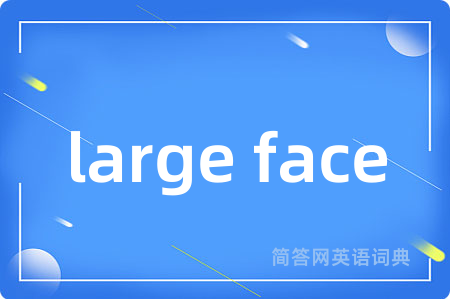 large face是什么意思,large face的中文翻译 large face