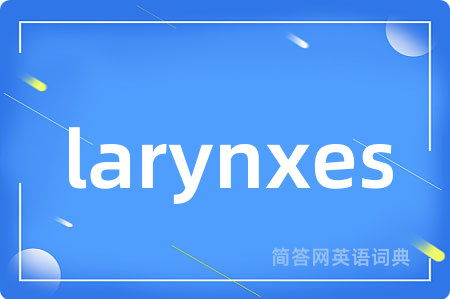 larynxes