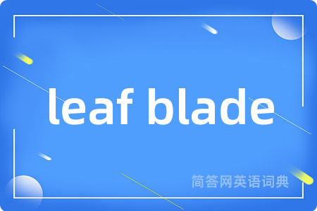leaf blade