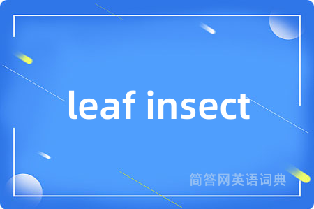 leaf insect
