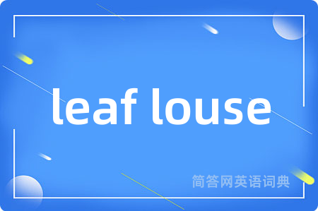 leaf louse