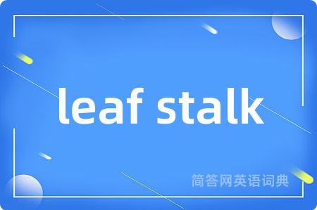 leaf stalk