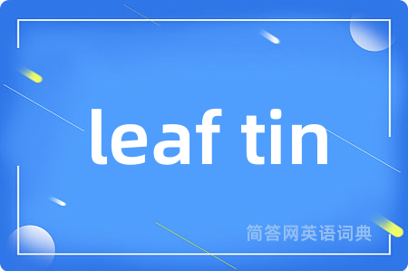 leaf tin