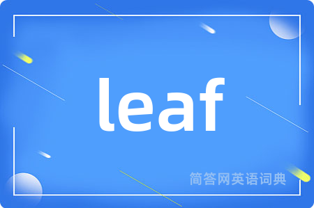 leaf