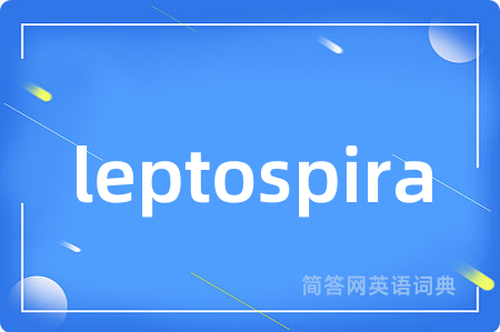 leptospira