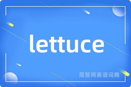 lettuce