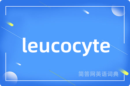 leucocyte