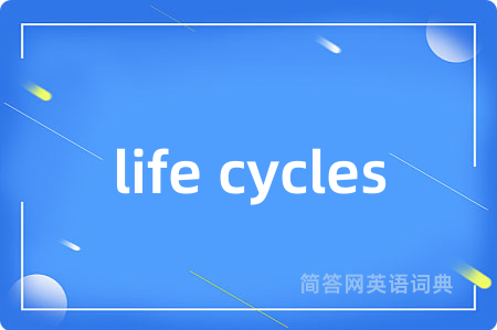 life cycles