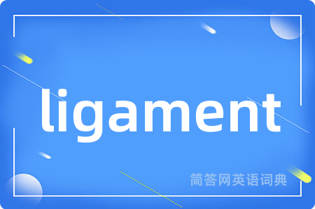 ligament