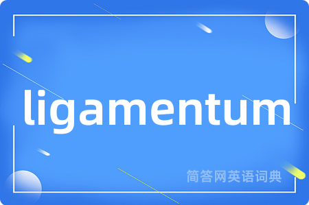 ligamentum