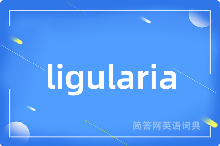 ligularia