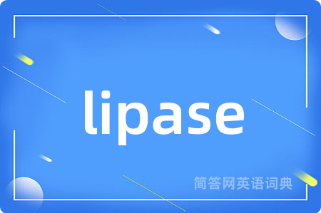 lipase是什么意思,lipase的中文翻译 lipase