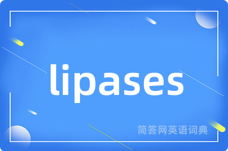 lipases是什么意思,lipases的中文翻译 lipases