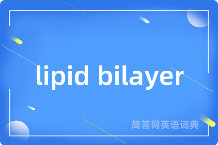 lipid bilayer