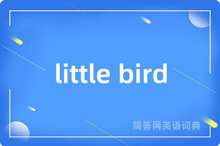 little bird