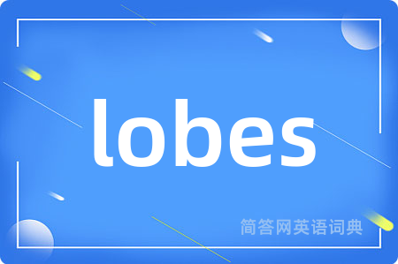 lobes