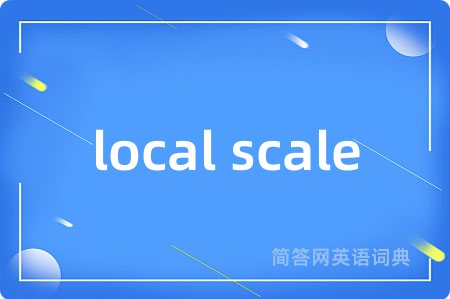 local scale是什么意思,local scale的中文翻译 local scale