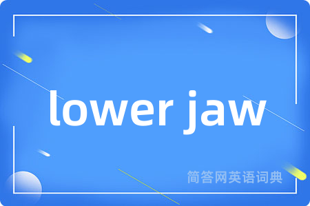 lower jaw是什么意思,lower jaw的中文翻译 lower jaw