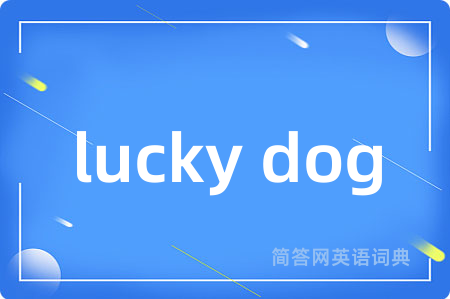 lucky dog