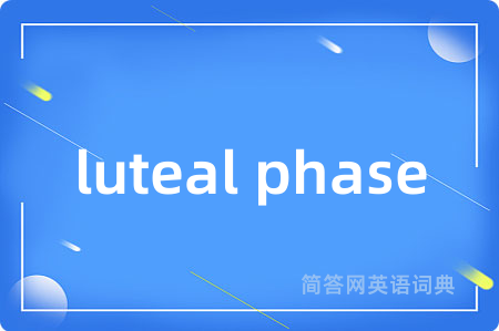 luteal phase