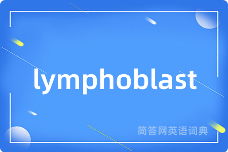 lymphoblast
