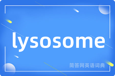 lysosome是什么意思,lysosome的中文翻译 lysosome