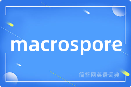 macrospore