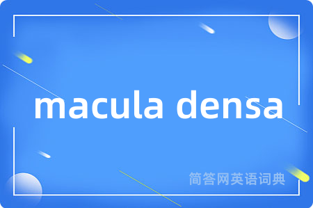 macula densa