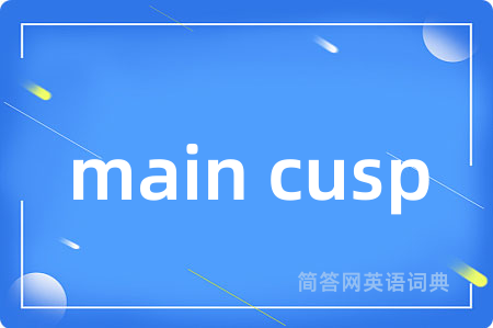 main cusp