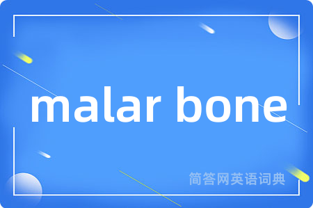 malar bone