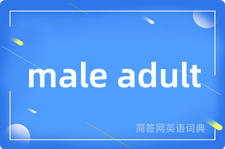male adult是什么意思,male adult的中文翻译 male adult