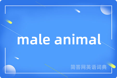 male animal