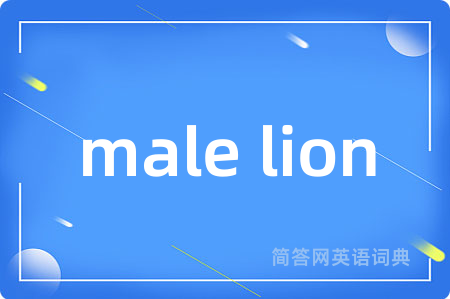 male lion是什么意思,male lion的中文翻译 male lion