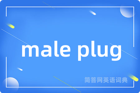 male plug