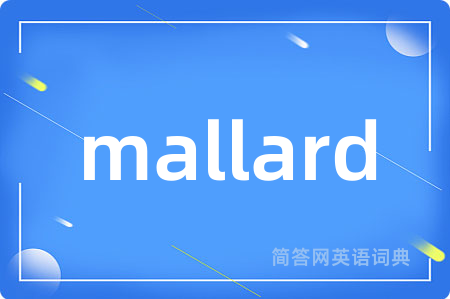mallard