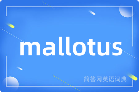 mallotus