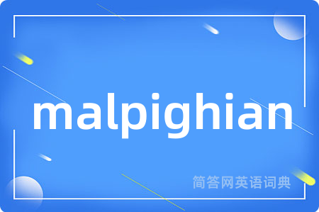 malpighian