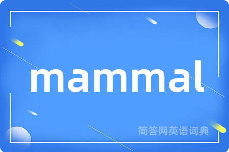 mammal