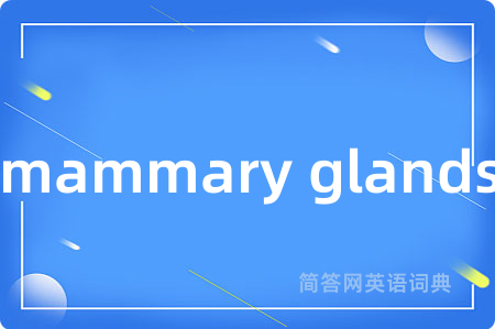 mammary glands